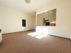 Pronájem bytu 1+kk, Praha - Nusle, U Jedličkova ústavu, 35 m2