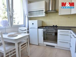 Pronájem bytu 1+1, Mladá Boleslav, U stadionu, 40 m2