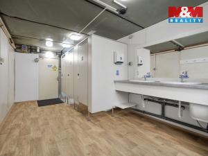 Pronájem skladu, Nymburk, Maršála Koněva, 30 m2