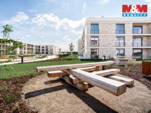 Pronájem bytu 2+kk, Brandýs nad Labem-Stará Boleslav - Brandýs nad Labem, Dřevčická, 63 m2