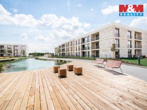 Pronájem bytu 1+kk, Brandýs nad Labem-Stará Boleslav - Brandýs nad Labem, Dřevčická, 34 m2