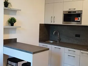 Pronájem bytu 1+kk, Praha - Dejvice, Studentská, 20 m2