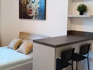 Pronájem bytu 1+kk, Praha - Dejvice, Studentská, 20 m2