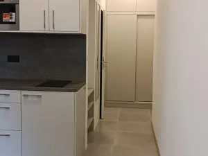 Pronájem bytu 1+kk, Praha - Dejvice, Studentská, 20 m2