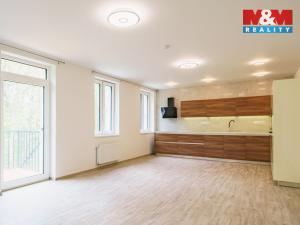 Pronájem bytu 3+kk, Cheb, Břehnická, 90 m2