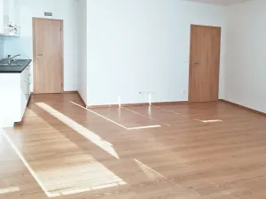 Pronájem bytu 1+kk, Praha - Hostivař, Rychtáře Petříka, 44 m2