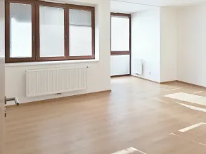 Pronájem bytu 1+kk, Praha - Hostivař, Rychtáře Petříka, 44 m2