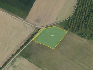 Prodej pole, Luže, 58496 m2