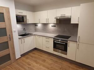 Pronájem bytu 2+kk, Doksy, Dalibora z Myšlína, 76 m2