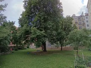 Pronájem bytu 1+kk, Praha, 23 m2