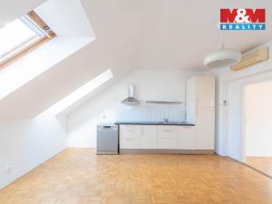 Pronájem bytu 4+1, Praha - Žižkov, Baranova, 120 m2