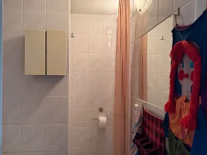 Pronájem bytu 1+1, Třebíč, Novodvorská, 34 m2