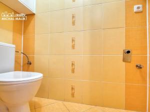 Pronájem bytu 3+1, Hranice, Mlýnský příkop, 72 m2