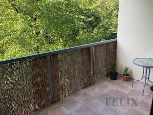 Pronájem bytu 1+kk, Olomouc, Kavaleristů, 36 m2