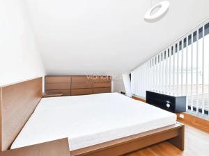 Pronájem bytu 4+kk, Praha - Radlice, Radlická, 139 m2