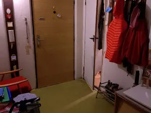 Prodej bytu 2+1, Praha - Kamýk, Olbramovická, 61 m2