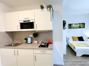 Pronájem bytu 1+kk, Praha - Nové Město, Petrská, 31 m2