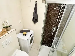 Pronájem bytu 1+kk, Praha - Nové Město, Petrská, 31 m2