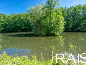Prodej komerční nemovitosti, Víchová nad Jizerou, 146 m2