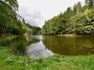 Prodej chalupy, Číhošť, 75 m2