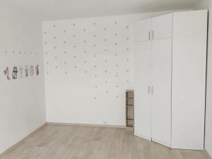 Pronájem bytu 1+1, Cheb, Hrnčířská, 42 m2