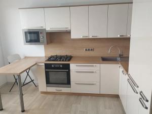 Pronájem bytu 1+1, Cheb, Hrnčířská, 42 m2