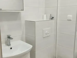 Pronájem bytu 1+1, Cheb, Hrnčířská, 42 m2