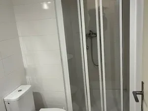 Pronájem bytu 1+kk, Praha - Vinohrady, Budečská, 27 m2