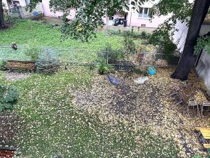 Pronájem bytu 3+1, Praha - Nusle, Nad studánkou, 70 m2