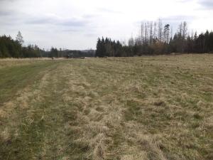 Dražba louky, Opatov, 22551 m2