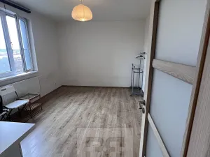 Pronájem bytu 1+kk, Praha - Vysočany, Freyova, 23 m2