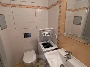 Pronájem bytu 1+kk, Praha - Vysočany, Freyova, 23 m2