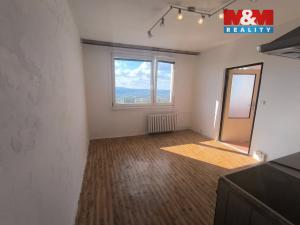 Pronájem bytu 1+1, Ústí nad Labem - Severní Terasa, Jizerská, 36 m2