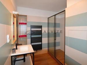 Pronájem bytu 1+1, České Budějovice, Mánesova, 57 m2