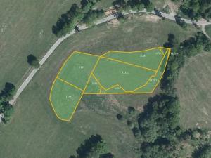 Prodej louky, Řečice, 30273 m2