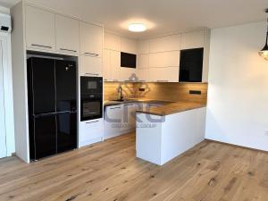 Pronájem bytu 3+kk, Brno - Staré Brno, Hlinky, 90 m2