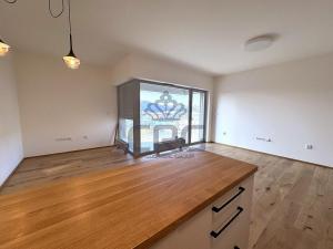 Pronájem bytu 3+kk, Brno - Staré Brno, Hlinky, 90 m2