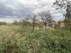 Prodej pozemku, Javorník - Horní Hoštice, 1691 m2