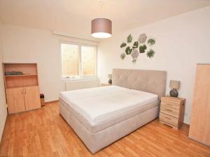 Pronájem bytu 2+kk, Brno, Majdalenky, 60 m2