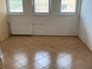 Pronájem bytu 1+kk, Brno, Rybkova, 19 m2
