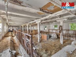 Prodej pozemku pro bydlení, Holice - Roveňsko, 9007 m2