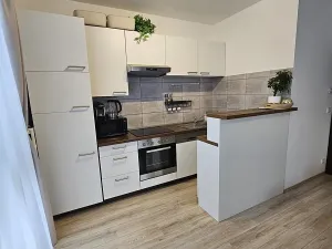 Pronájem bytu 3+kk, Břežany II, 75 m2