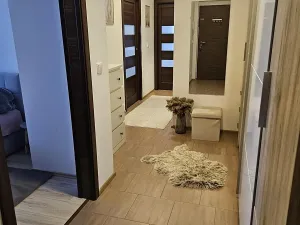 Pronájem bytu 3+kk, Břežany II, 75 m2