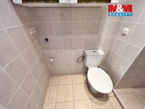 Pronájem bytu 1+1, Děčín - Děčín III-Staré Město, Oblouková, 35 m2