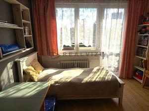 Pronájem bytu 3+1, České Budějovice, Pekárenská, 81 m2