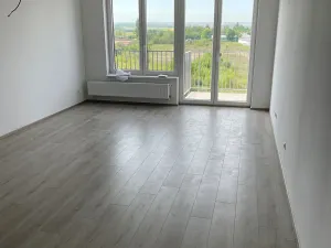 Pronájem bytu 1+kk, Pardubice, Pod Vinicí, 40 m2
