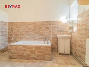 Prodej zemědělské usedlosti, Chlumín, 740 m2