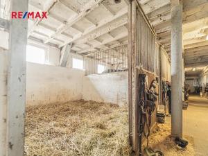 Prodej zemědělské usedlosti, Chlumín, 740 m2