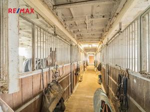 Prodej zemědělské usedlosti, Chlumín, 740 m2