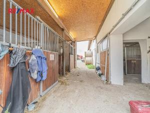 Prodej zemědělské usedlosti, Chlumín, 740 m2